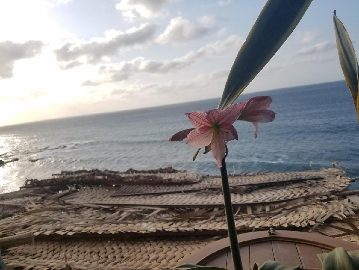 Holiday home Casa Fabrice Ribeira da Prata